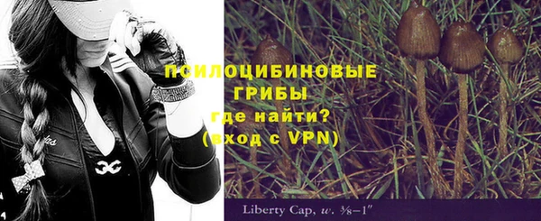 синтетический гашиш Арсеньев