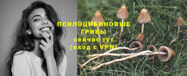 метадон Новодвинск