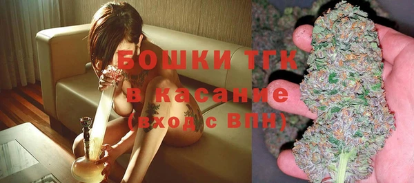 индика Новозыбков