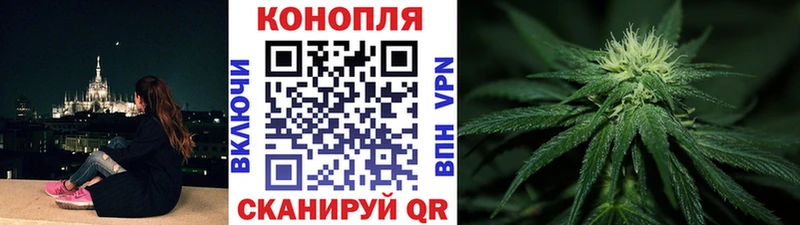 как найти закладки  Сусуман  Конопля SATIVA & INDICA 
